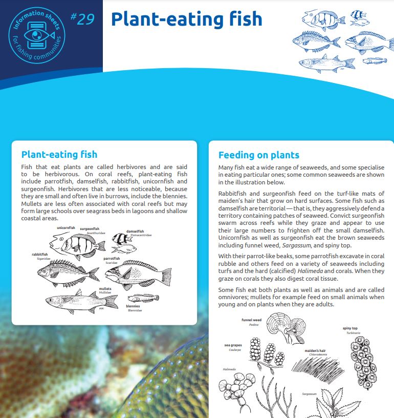 Plant-eating fish