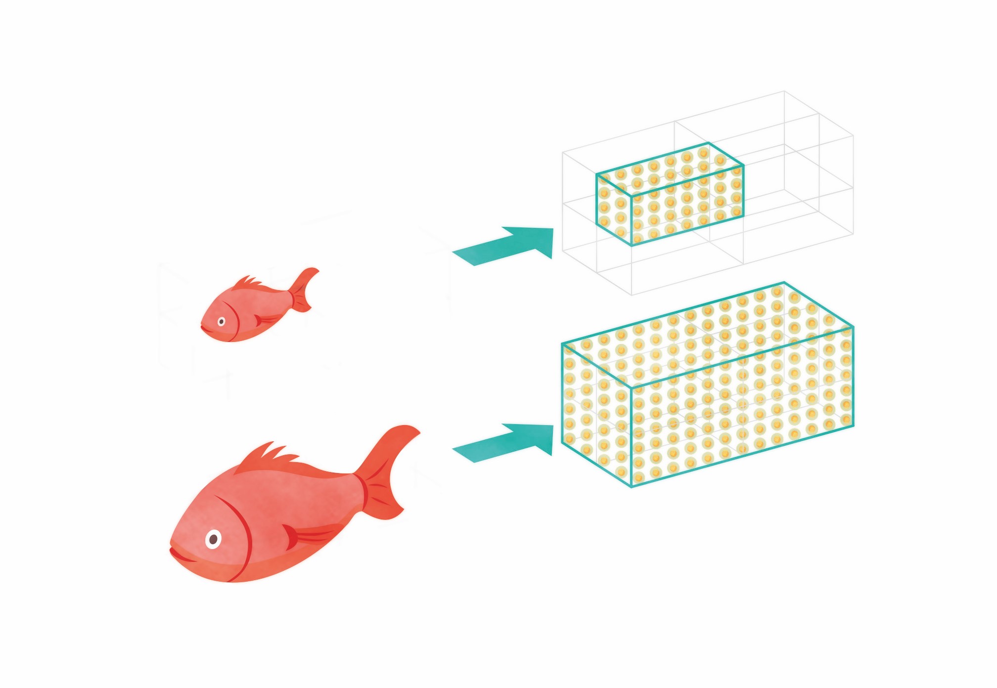 Size limits 1 (booklet fish smart rule)