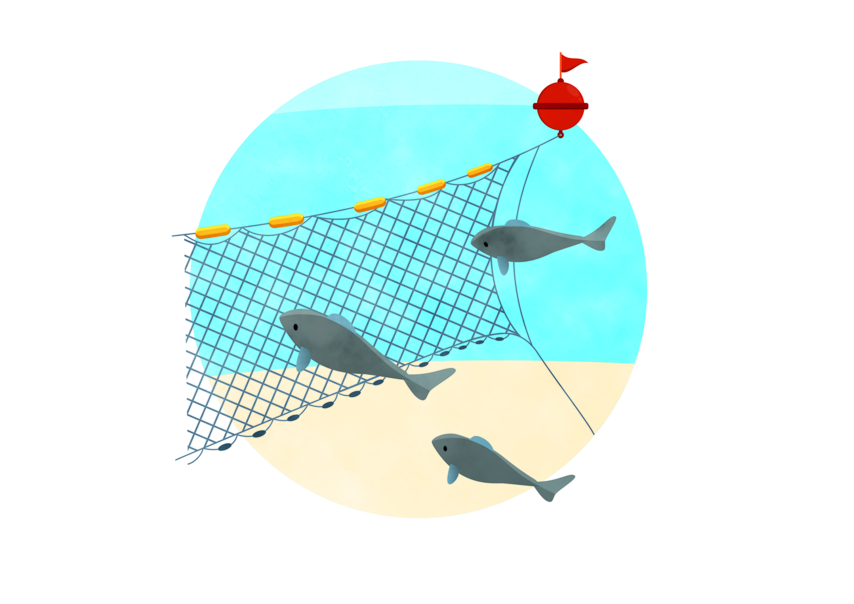 Illustration: gill net